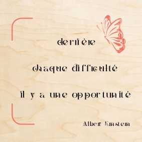 Un joli papillon pour mettre en valeur une citation d'Albert Einstein : DerriÚre chaque difficulté, il y a une opportunité.