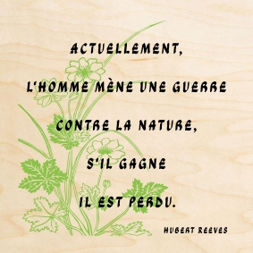 La nature sur du bois. Une carte pleine d'espoir.